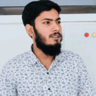 rayed hussain